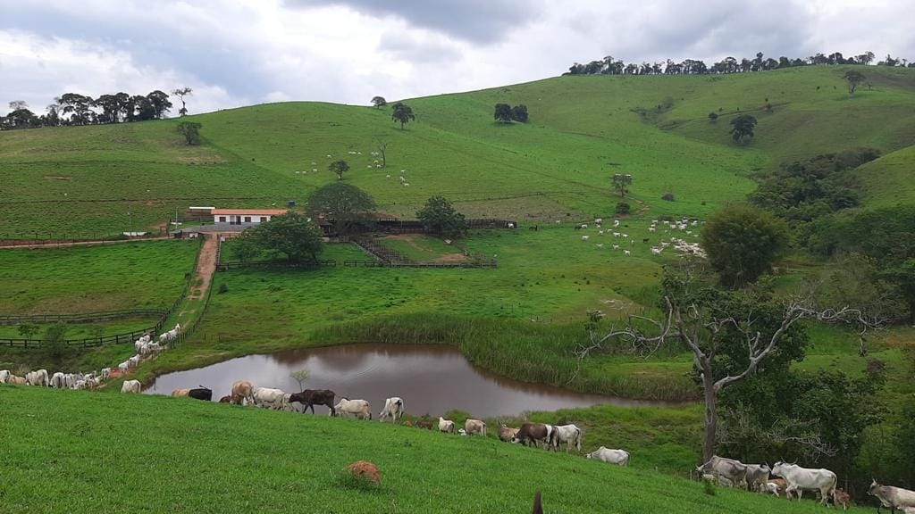 Terreno, 130 hectares - Foto 7
