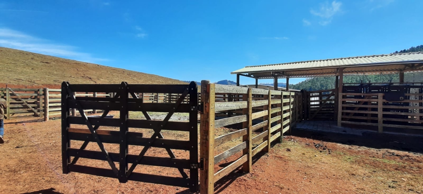 Terreno, 130 hectares - Foto 8