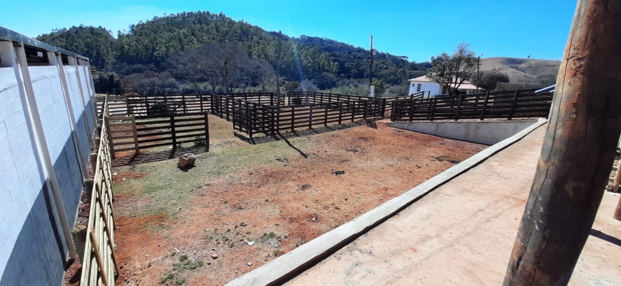 Terreno, 130 hectares - Foto 10