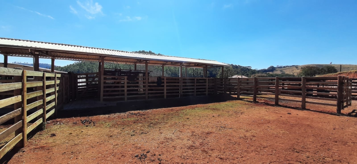 Terreno, 130 hectares - Foto 11