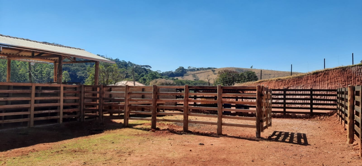 Terreno, 130 hectares - Foto 12