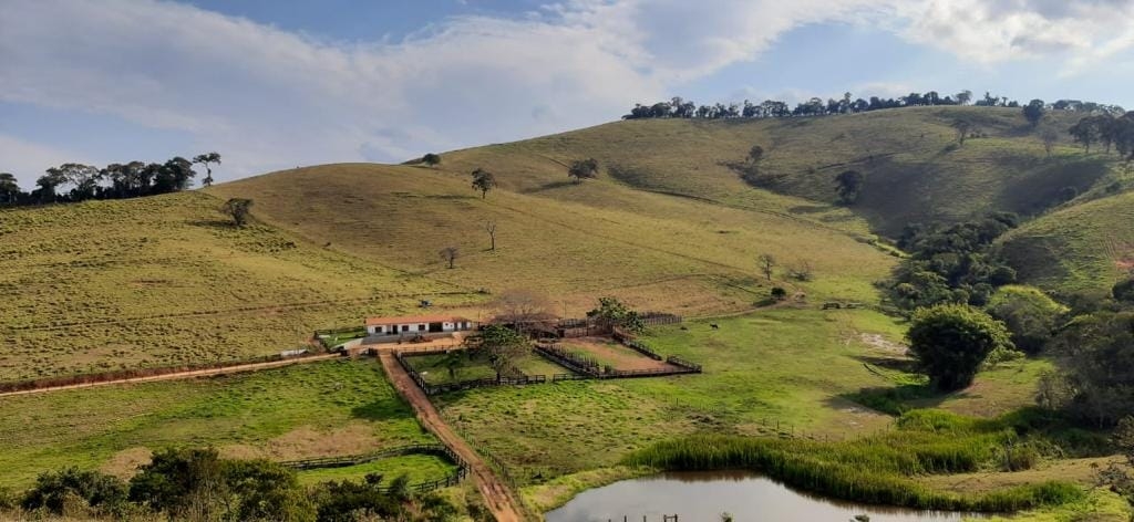 Terreno, 130 hectares - Foto 15