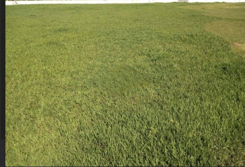 #19284 - Área para Venda em Pindamonhangaba - SP