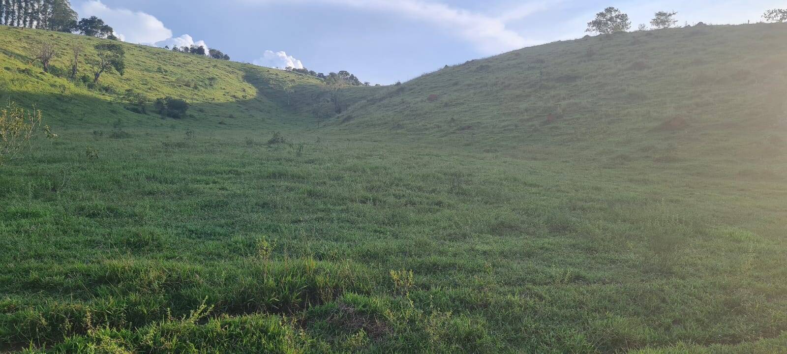 #19314 - Área para Venda em Taubaté - SP