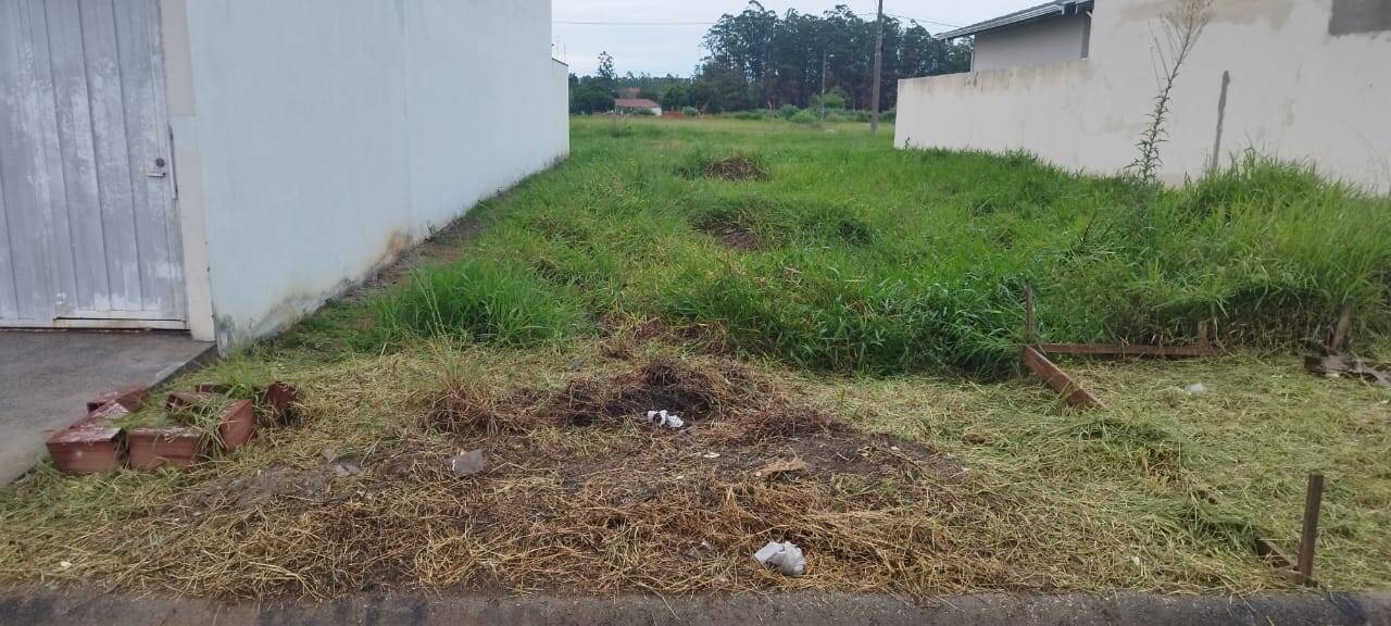 #19397 - Área para Venda em Pindamonhangaba - SP