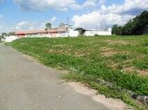 #19468 - Área para Venda em Pindamonhangaba - SP