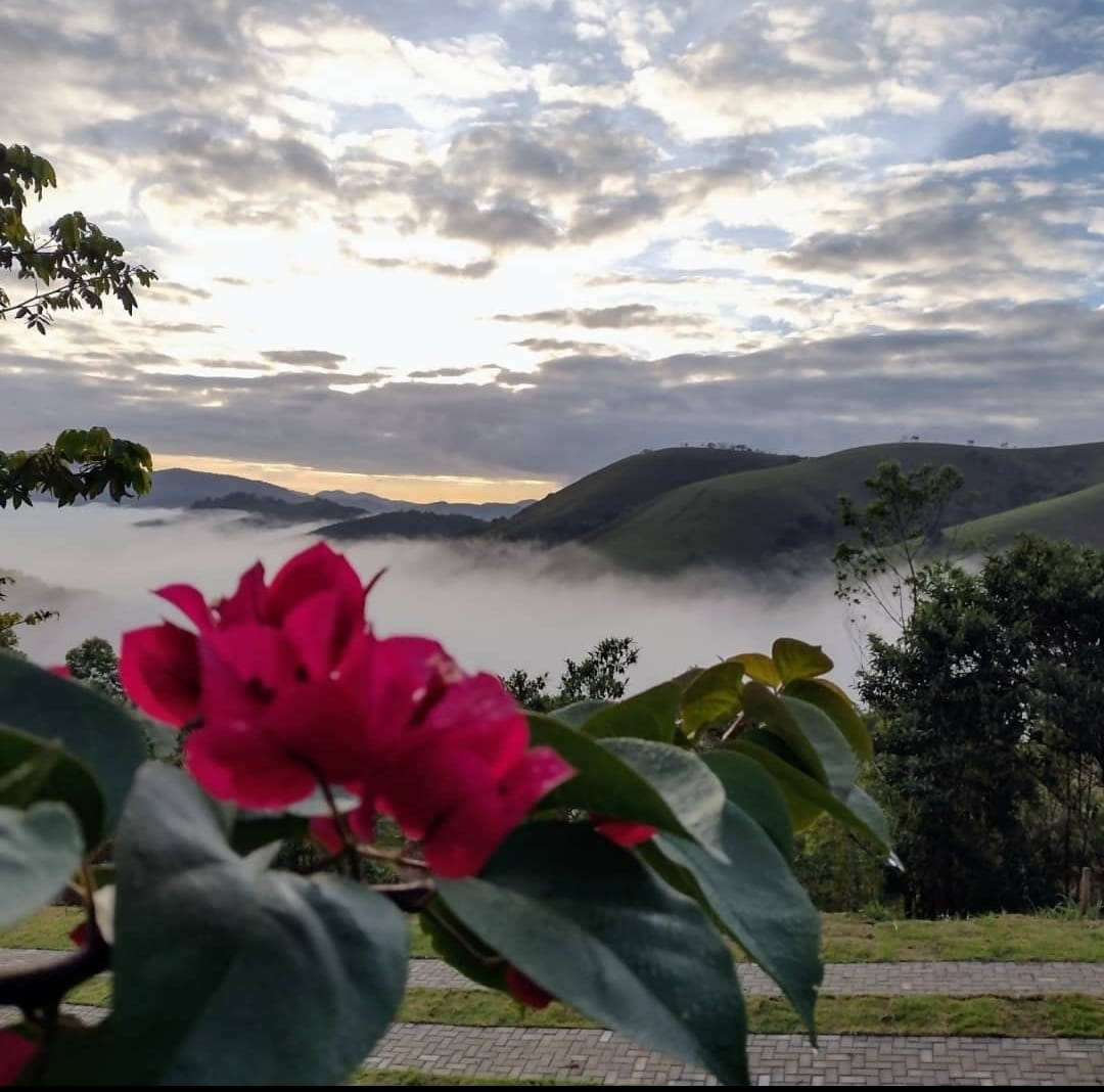 Sítio, 3 quartos, 14 hectares - Foto 1