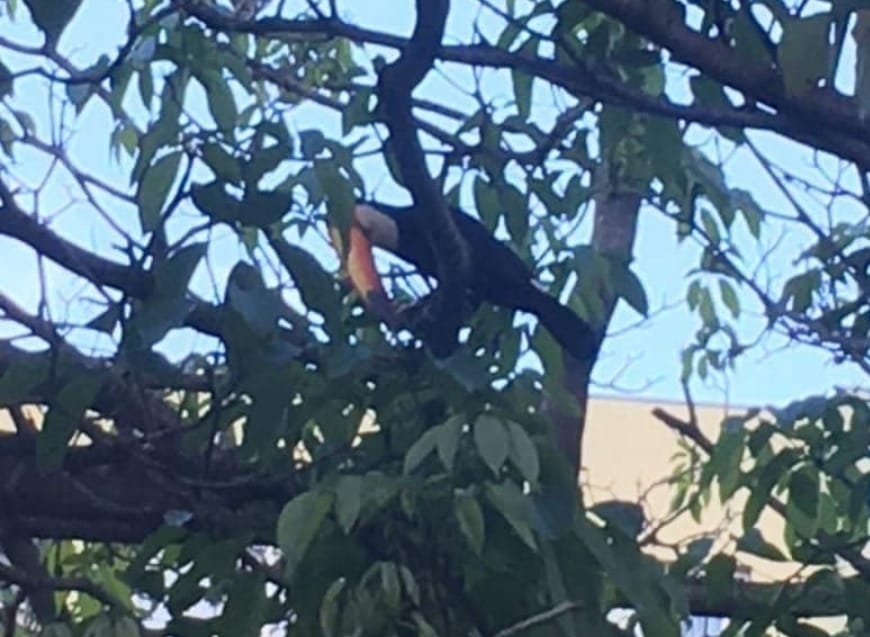 Sítio, 3 quartos, 14 hectares - Foto 2