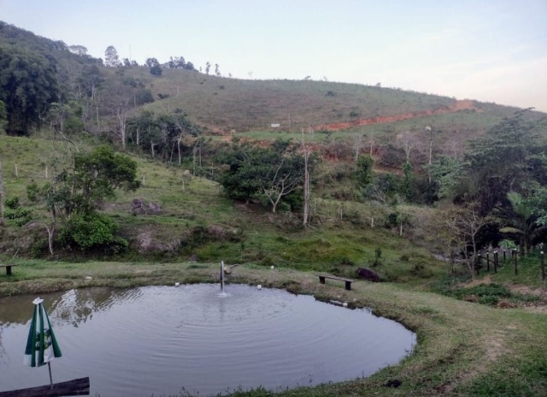 Sítio, 3 quartos, 14 hectares - Foto 16