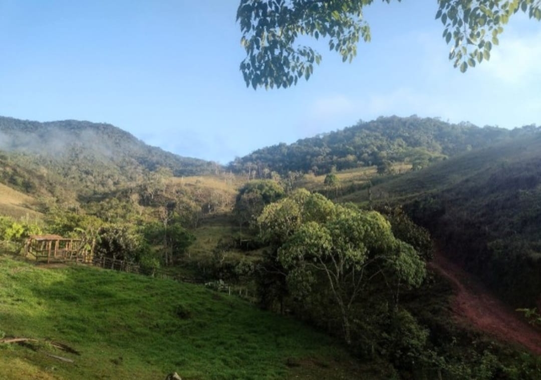 Sítio, 3 quartos, 14 hectares - Foto 19