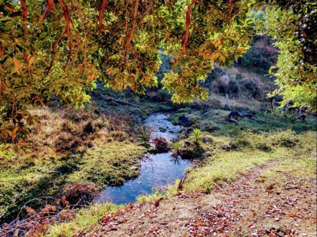 Sítio, 3 quartos, 14 hectares - Foto 20