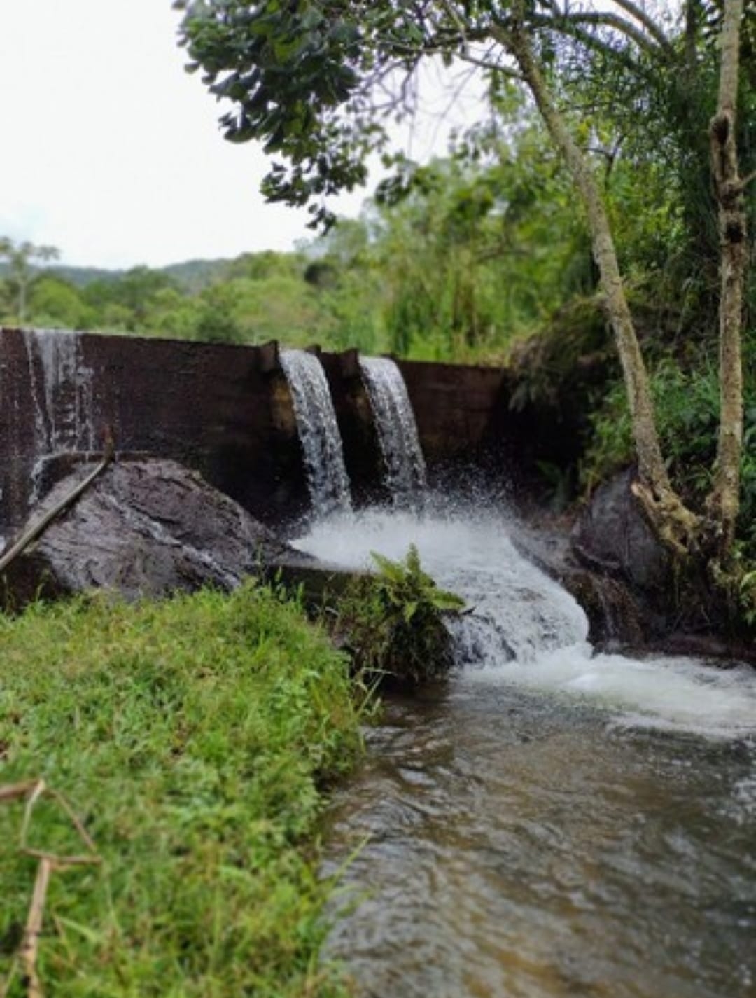 Sítio, 3 quartos, 14 hectares - Foto 25