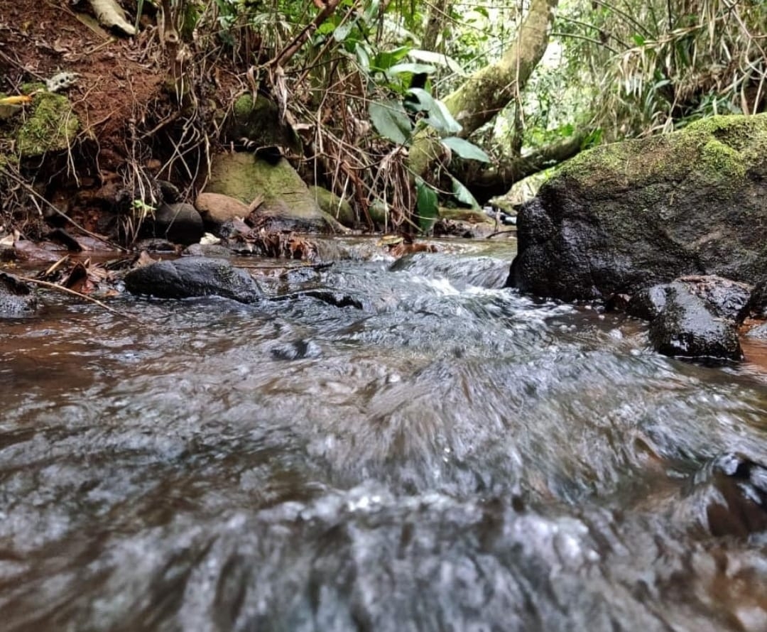 Sítio, 3 quartos, 14 hectares - Foto 26