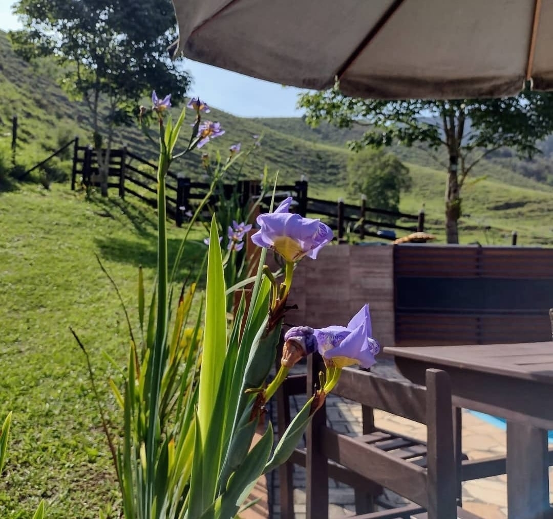 Sítio, 3 quartos, 14 hectares - Foto 32