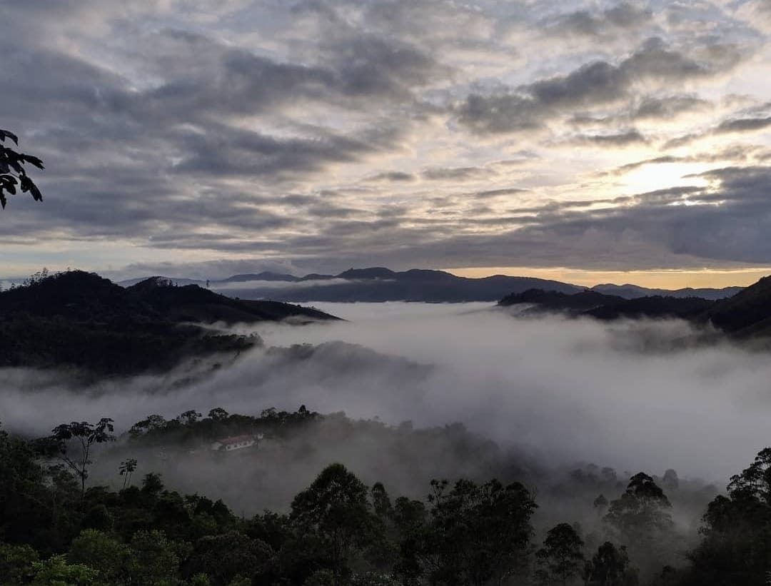 Sítio, 3 quartos, 14 hectares - Foto 35