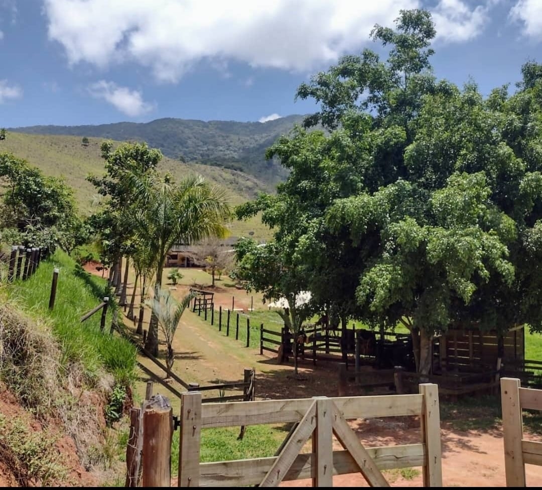 Sítio, 3 quartos, 14 hectares - Foto 36