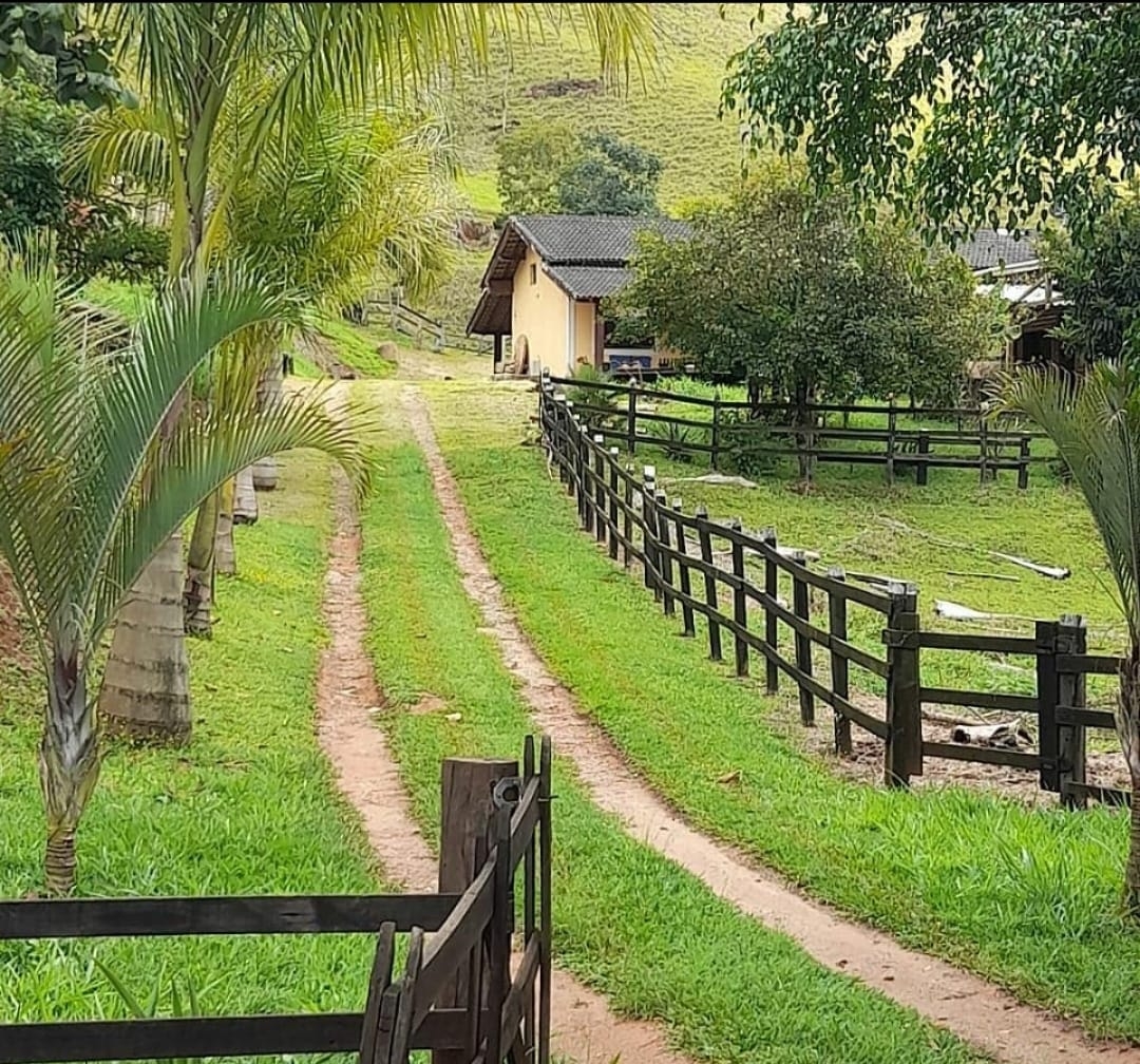 Sítio, 3 quartos, 14 hectares - Foto 38
