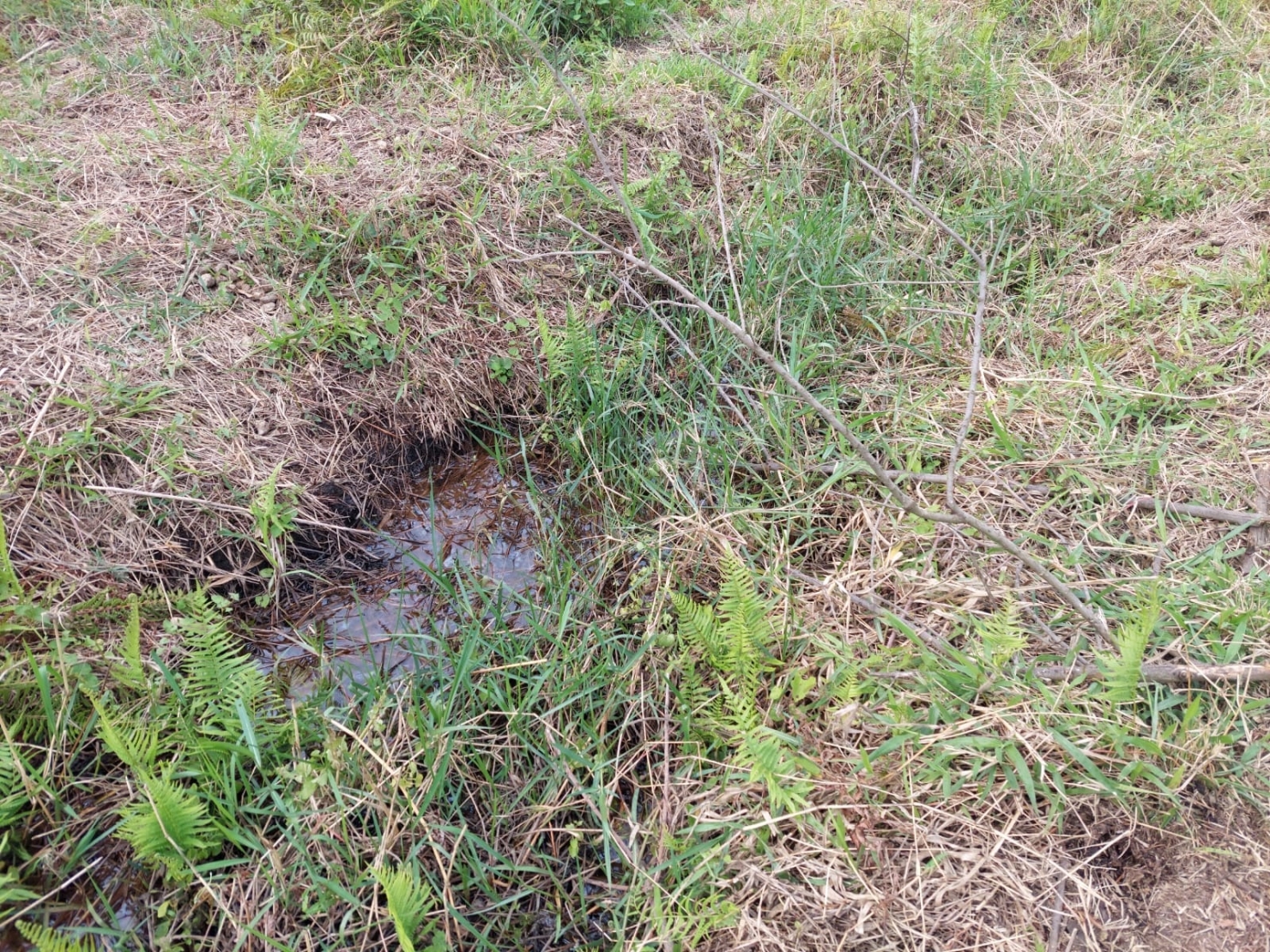 Terreno, 2596 m² - Foto 2