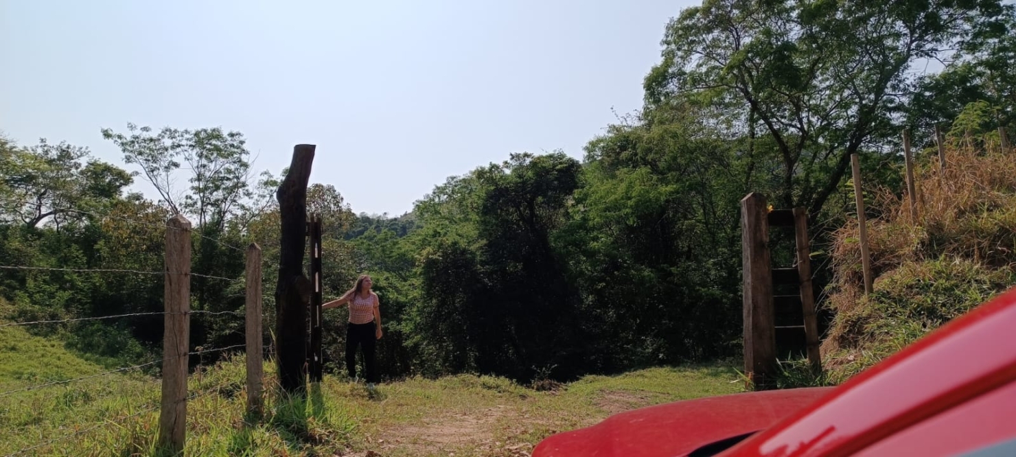 Terreno, 58 hectares - Foto 3