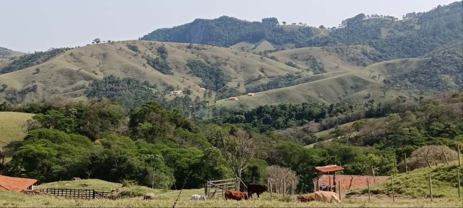 Terreno, 58 hectares - Foto 11