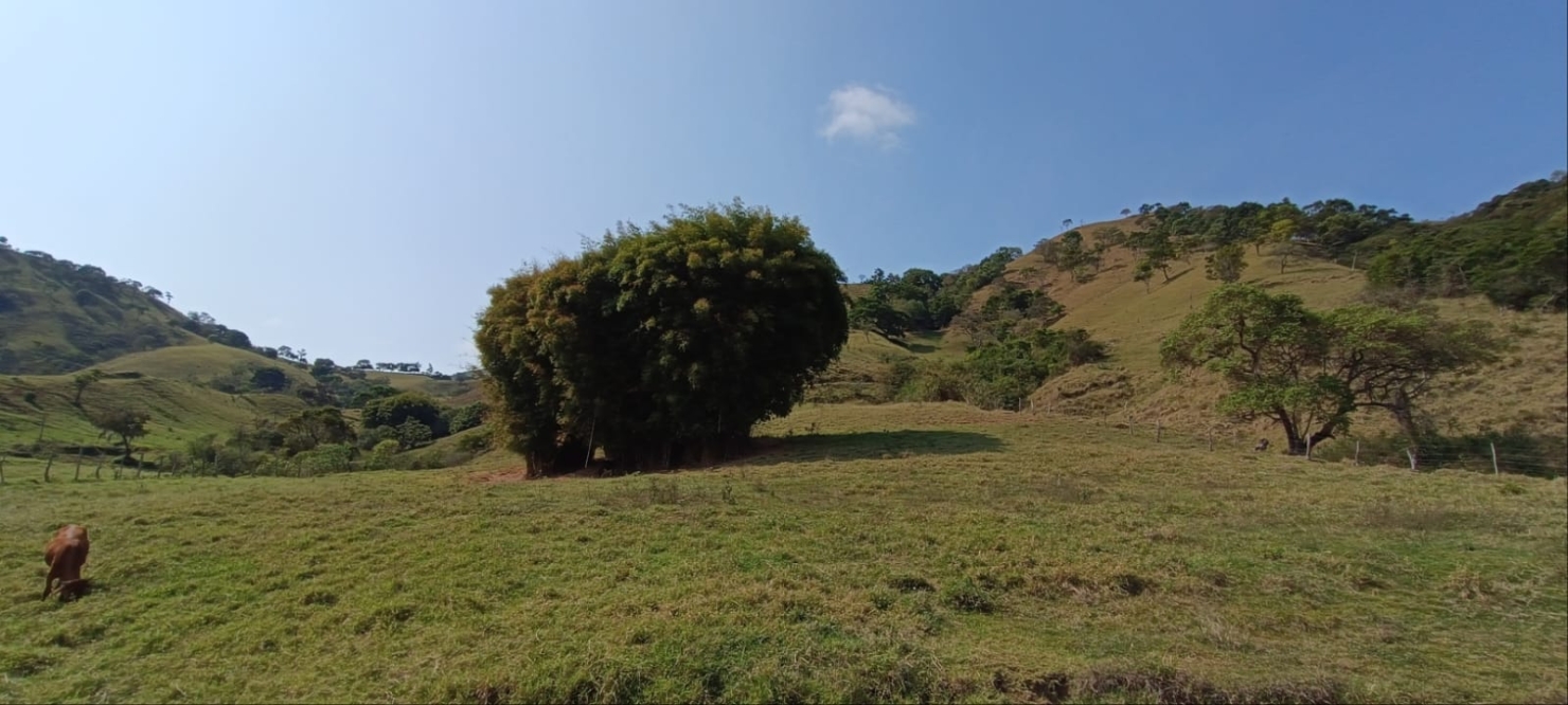 Terreno, 58 hectares - Foto 15