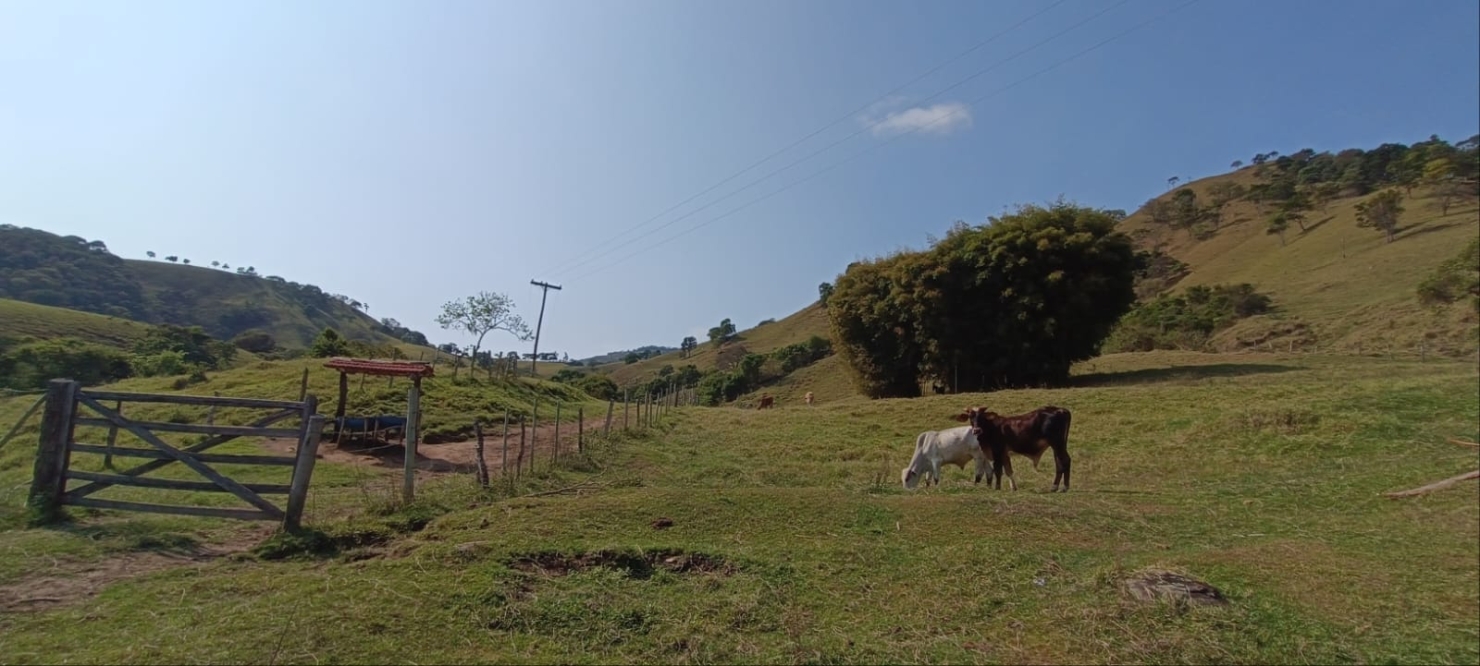 Terreno, 58 hectares - Foto 17