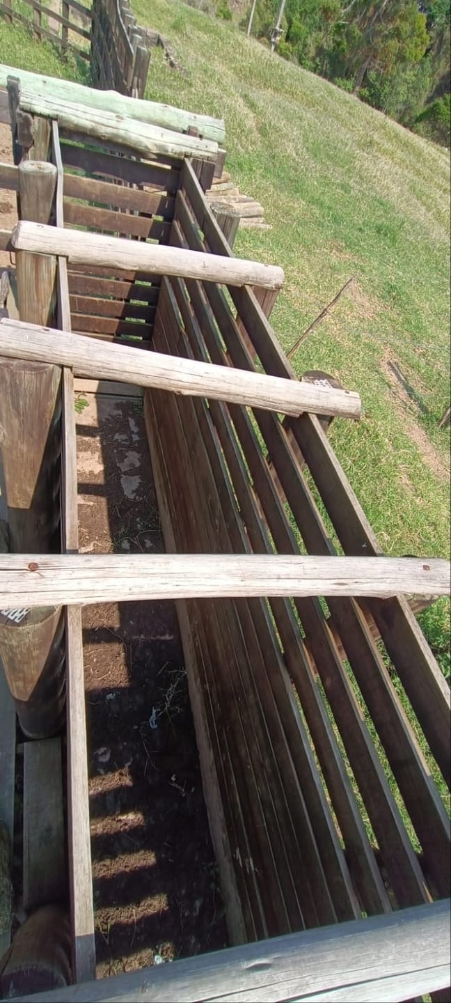 Terreno, 58 hectares - Foto 30