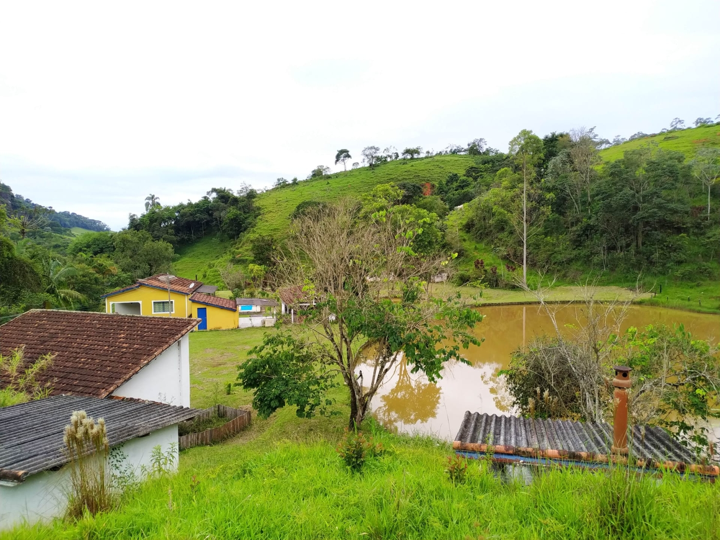 Fazenda, 128 hectares - Foto 3