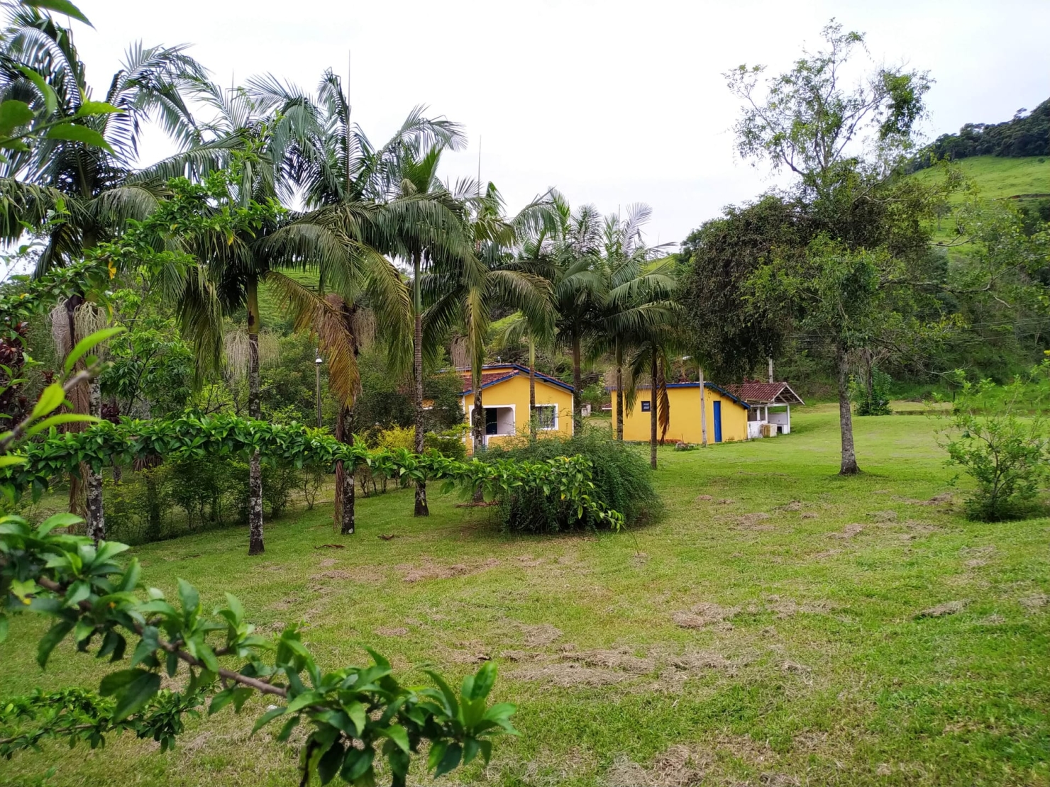 Fazenda, 128 hectares - Foto 4