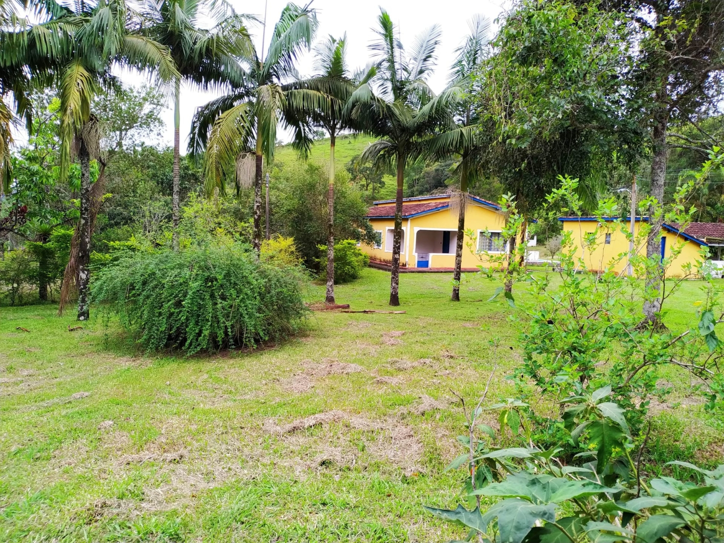 Fazenda, 128 hectares - Foto 5