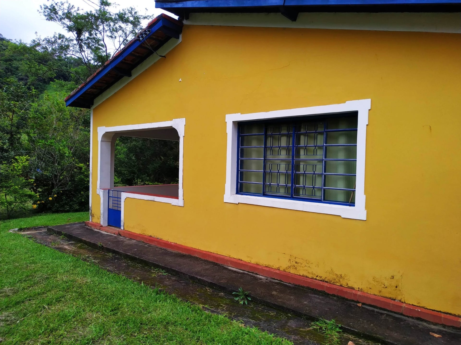Fazenda, 128 hectares - Foto 8