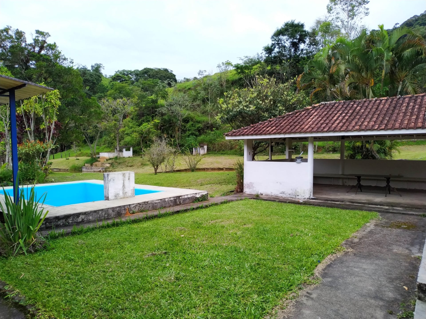 Fazenda, 128 hectares - Foto 9