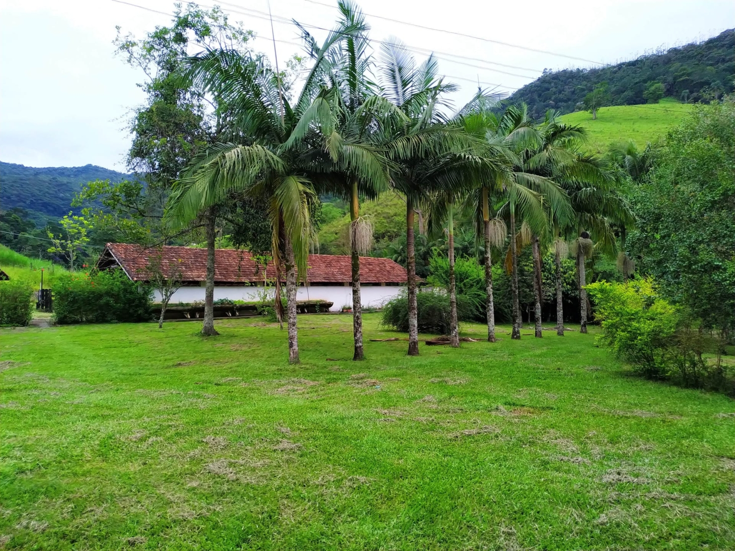 Fazenda, 128 hectares - Foto 12