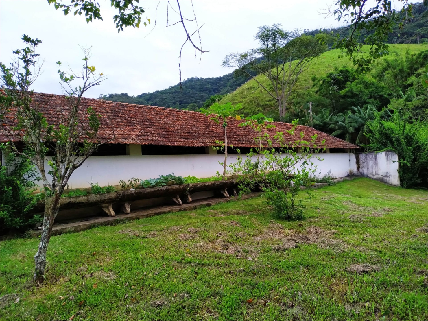 Fazenda, 128 hectares - Foto 14