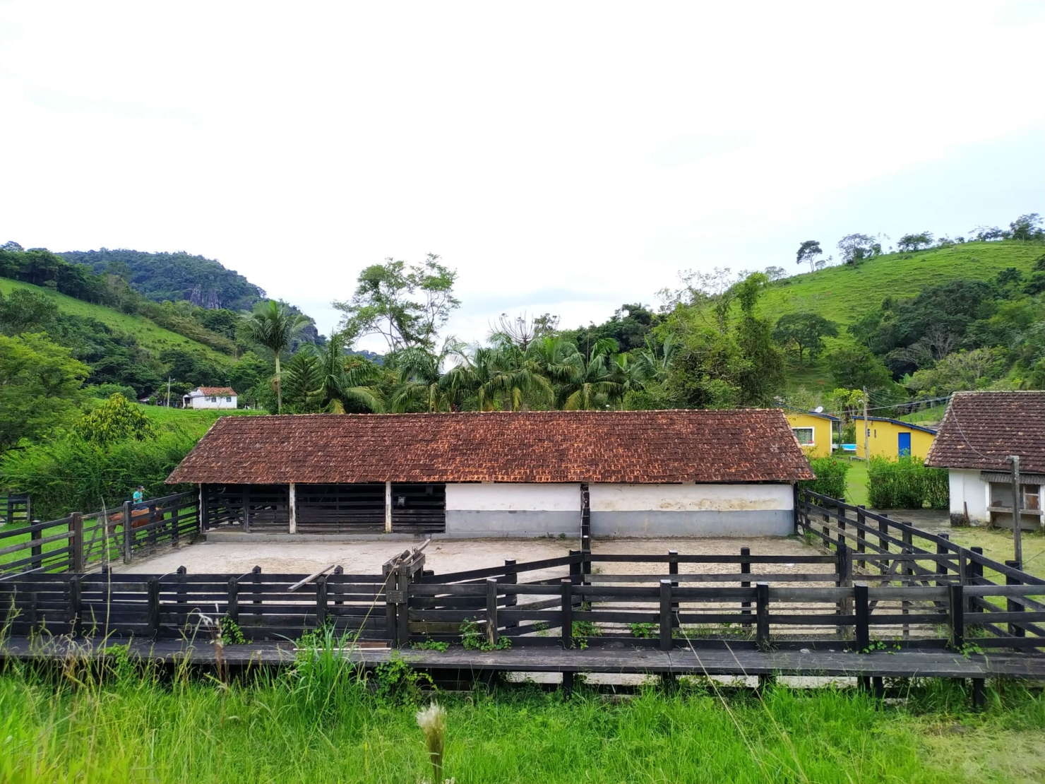 Fazenda, 128 hectares - Foto 18