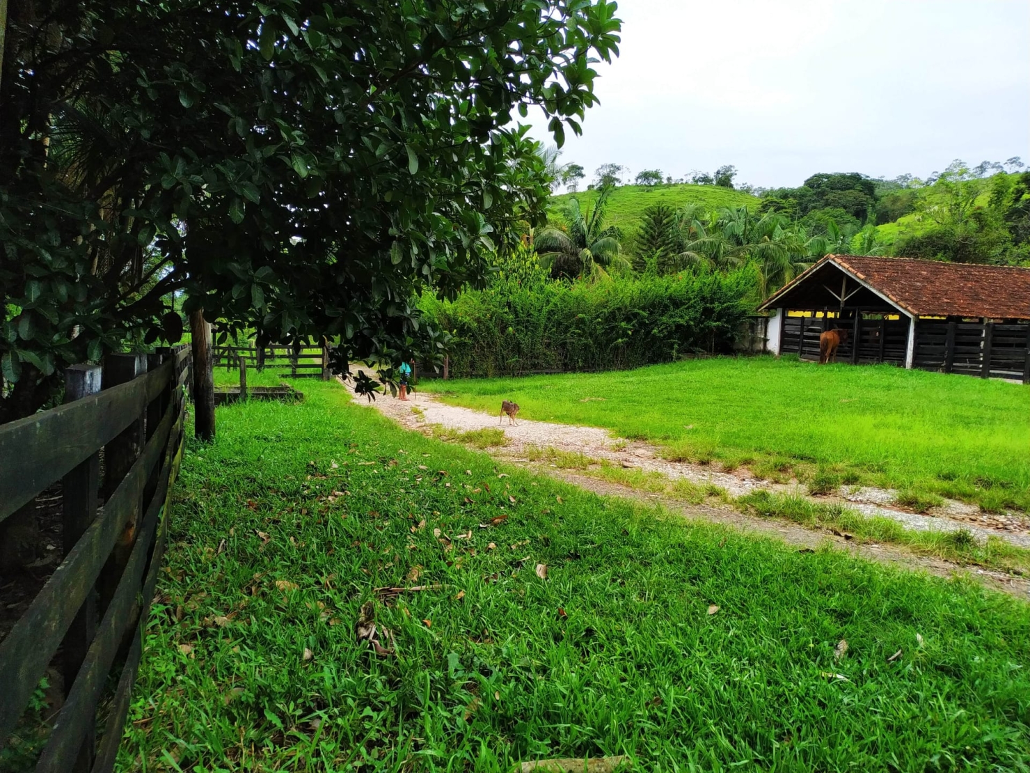 Fazenda, 128 hectares - Foto 19