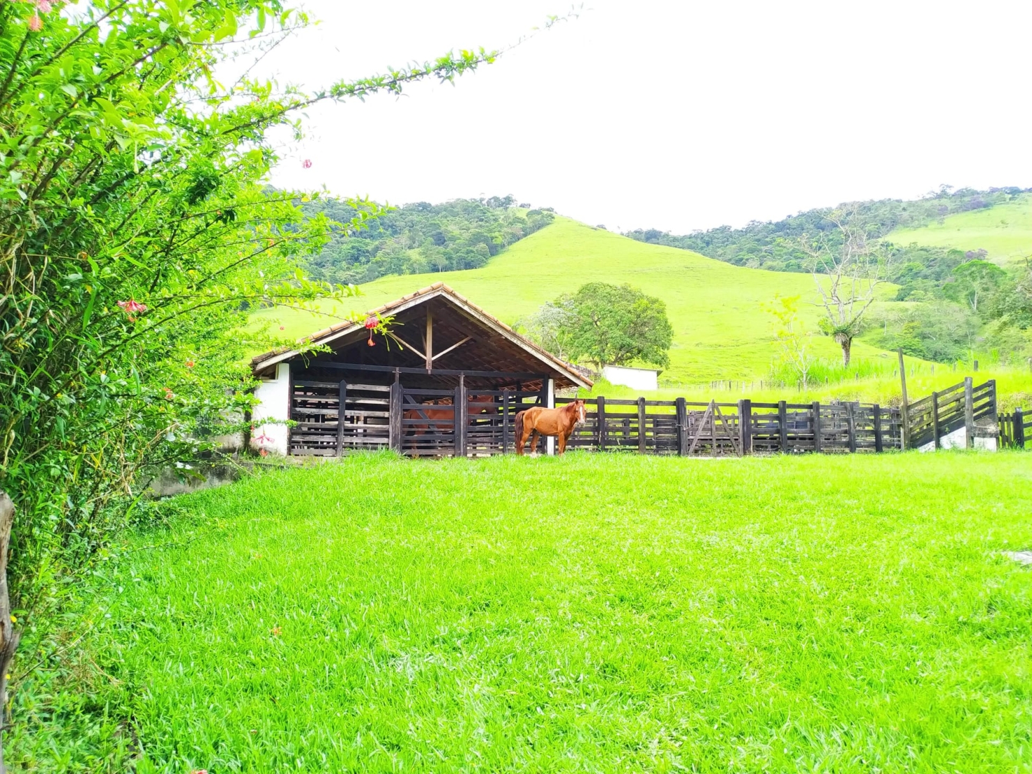 Fazenda, 128 hectares - Foto 20