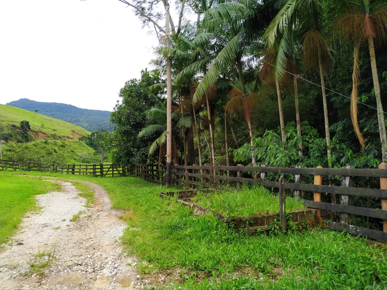 Fazenda, 128 hectares - Foto 21