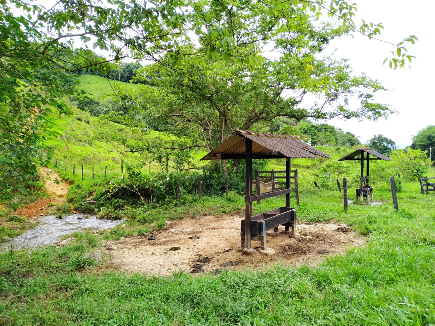 Fazenda, 128 hectares - Foto 22