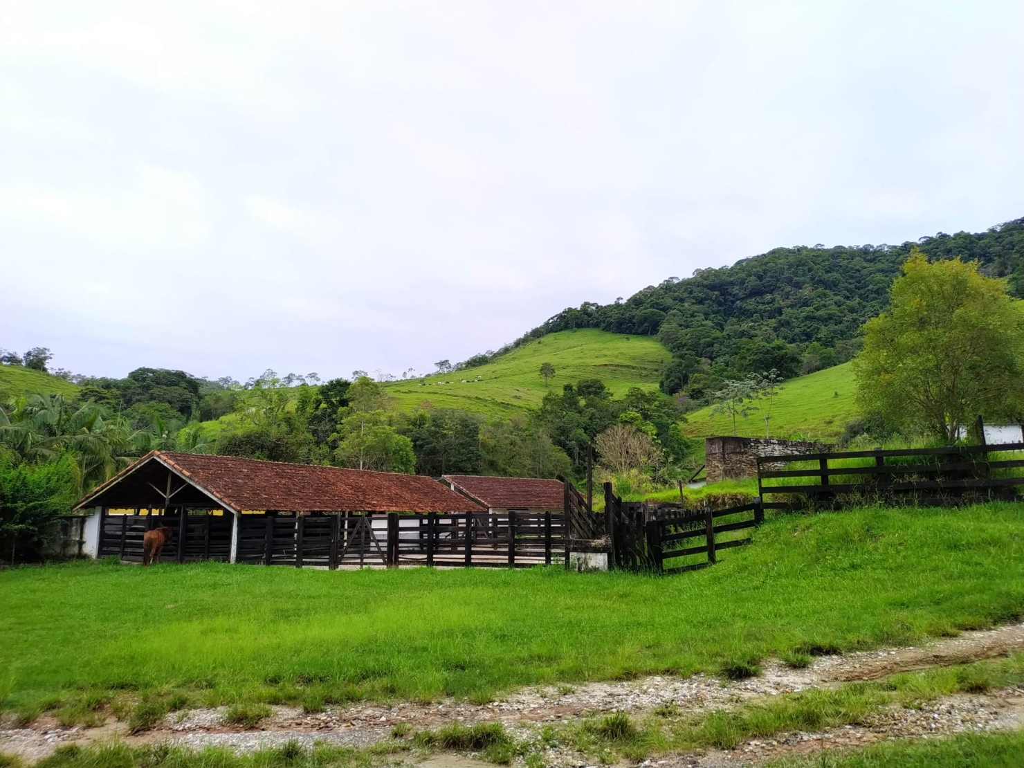 Fazenda, 128 hectares - Foto 26