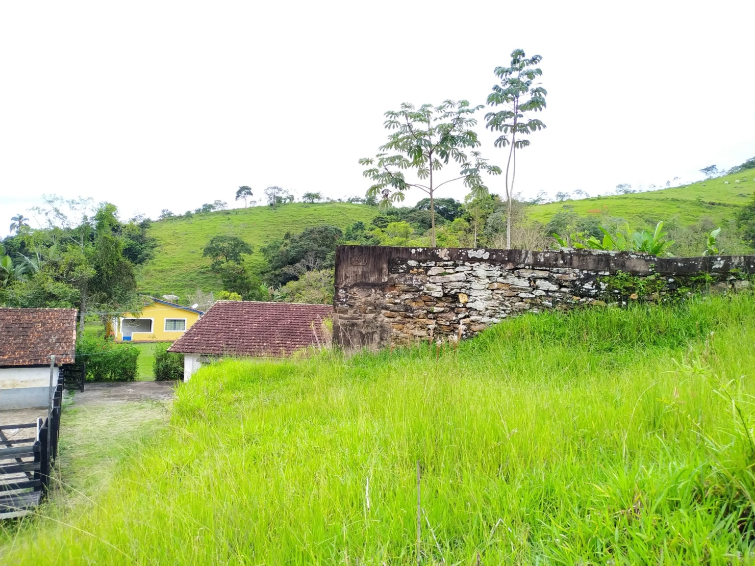 Fazenda, 128 hectares - Foto 30