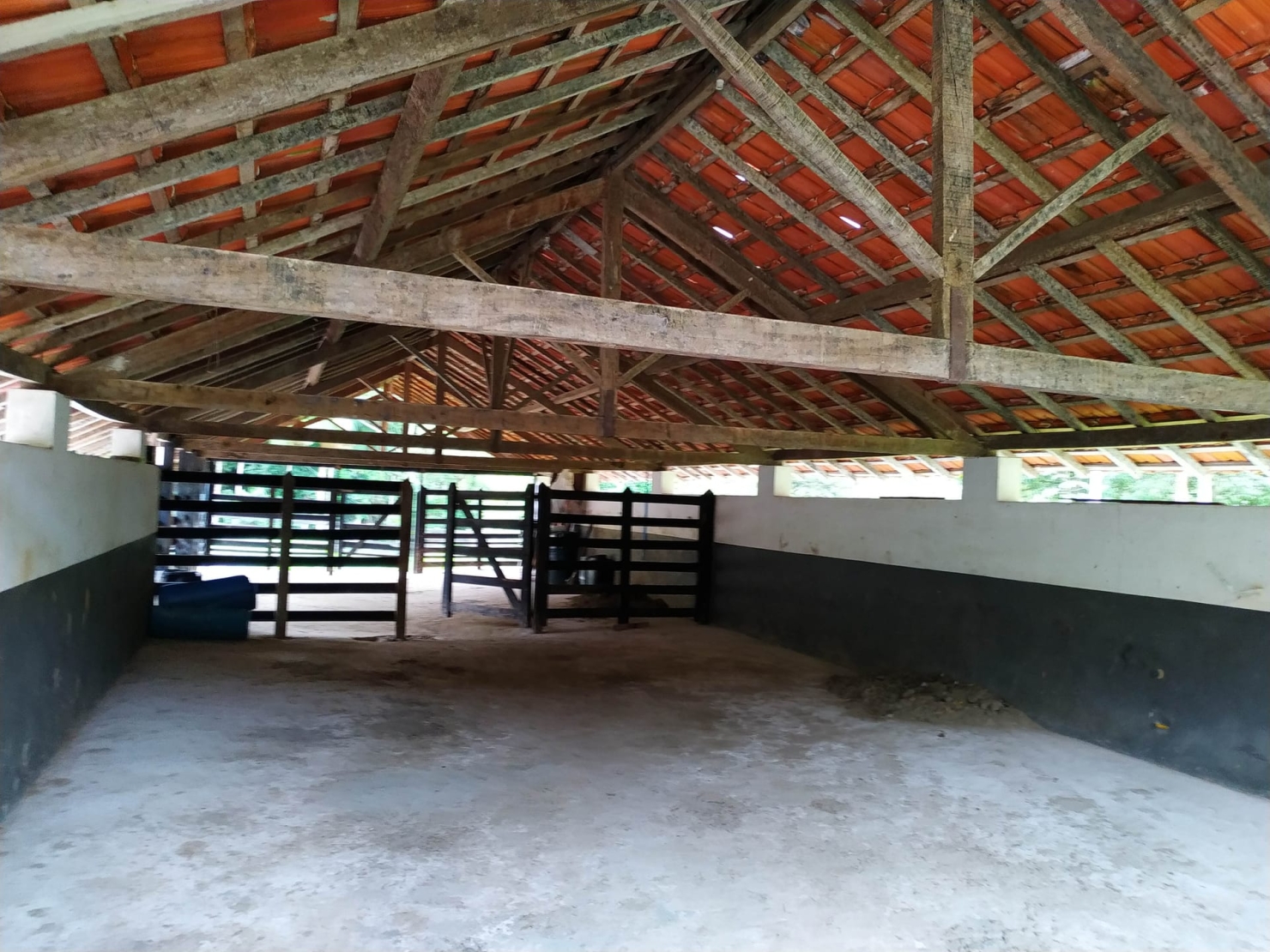 Fazenda, 128 hectares - Foto 31
