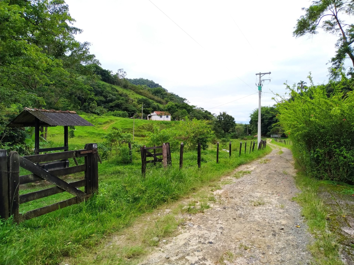 Fazenda, 128 hectares - Foto 32