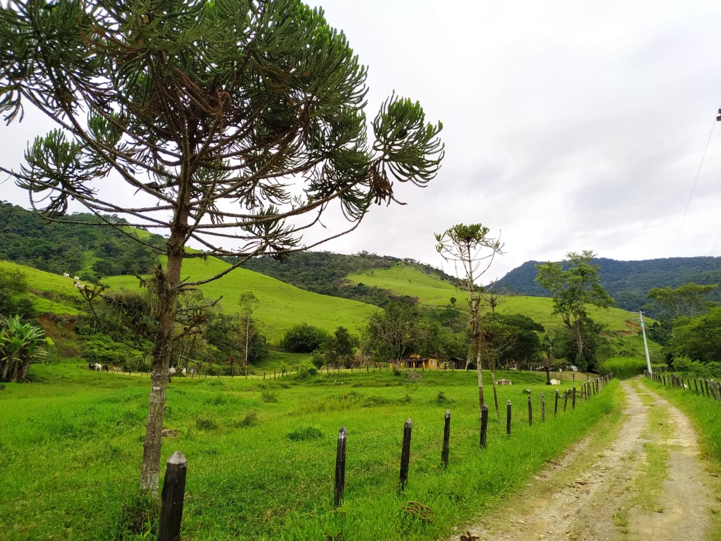 Fazenda, 128 hectares - Foto 33