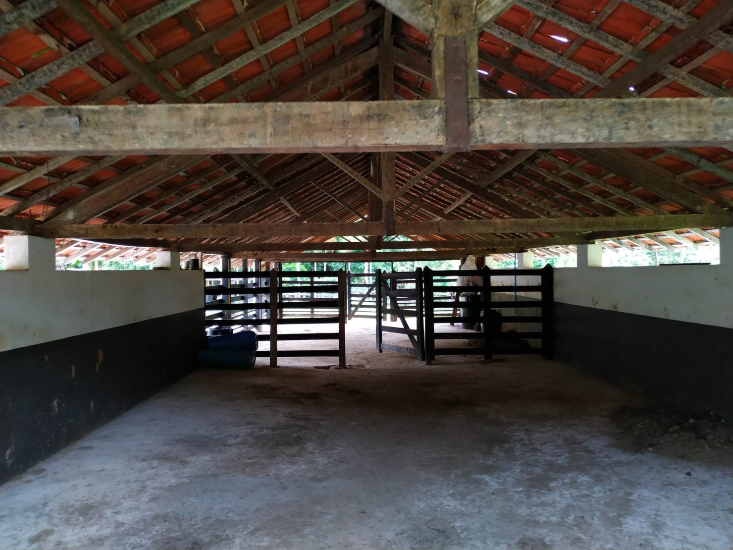Fazenda, 128 hectares - Foto 34