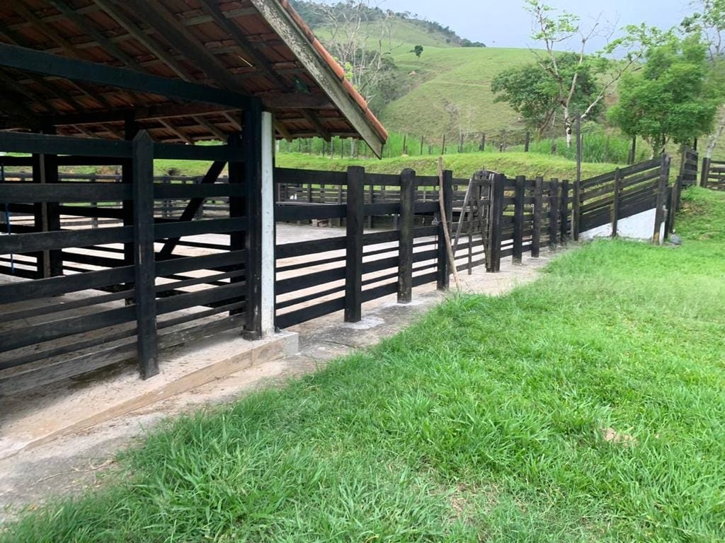 Fazenda, 128 hectares - Foto 36
