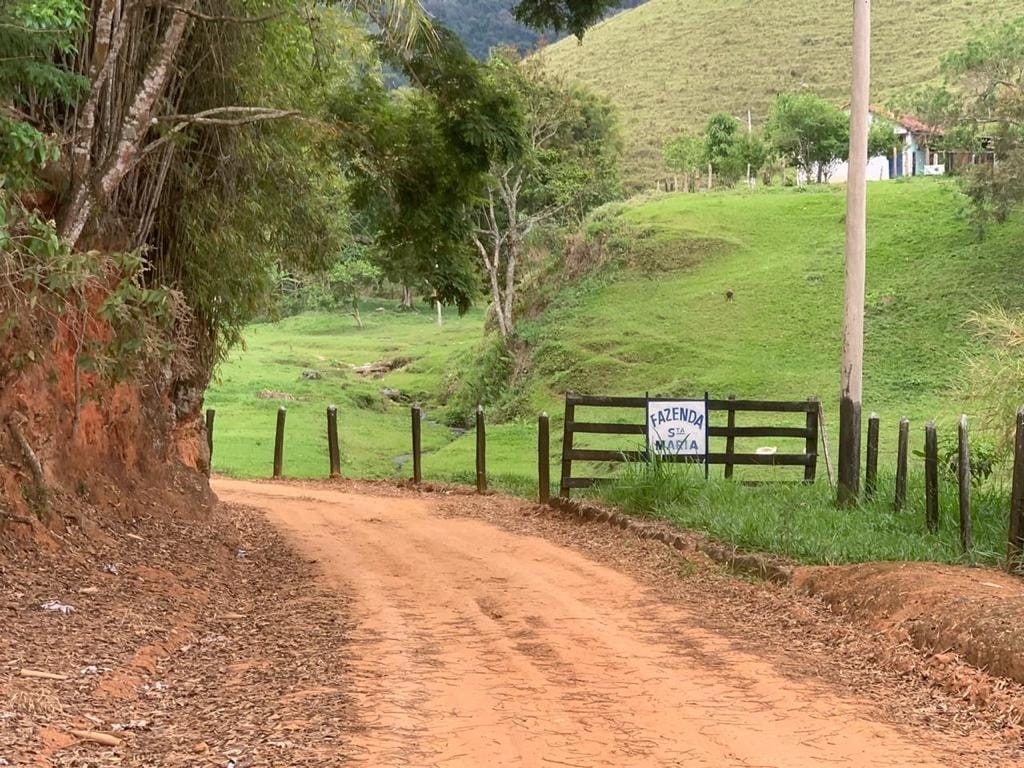 Fazenda, 128 hectares - Foto 37