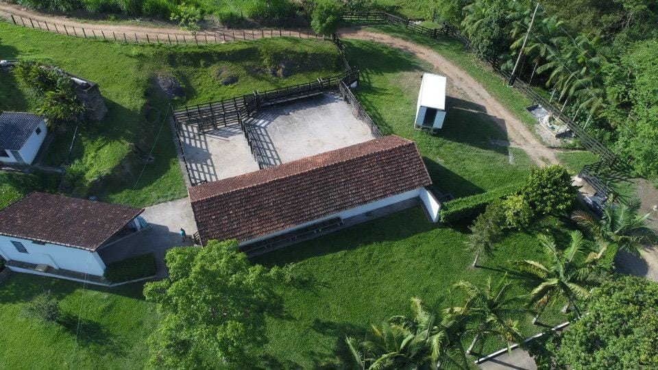 Fazenda, 128 hectares - Foto 40