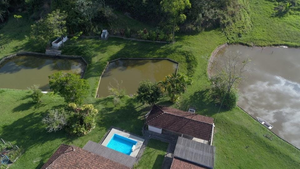 Fazenda, 128 hectares - Foto 41