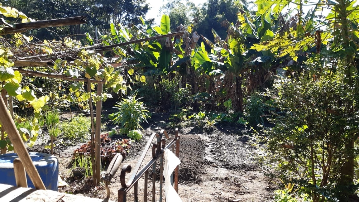 Sítio, 3 quartos, 500 m² - Foto 7